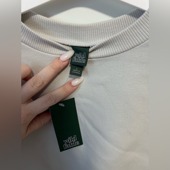 NWT | Wild Fable (Target) |  Cropped Grey Crew Neck Sweat Shirt | Size L - Picture 5 of 6